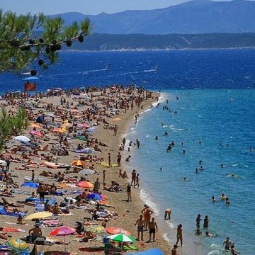 Brač
