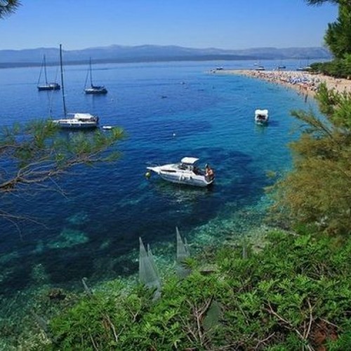 Brač