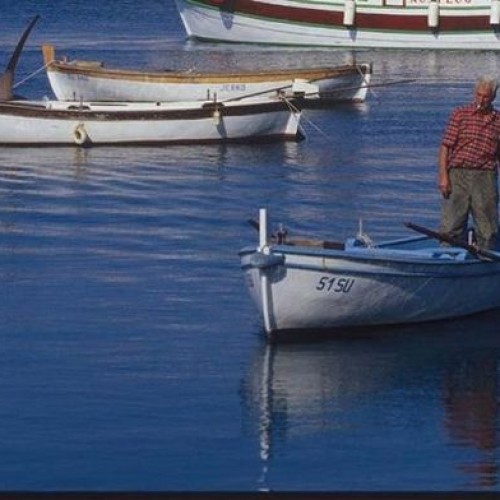 Brač