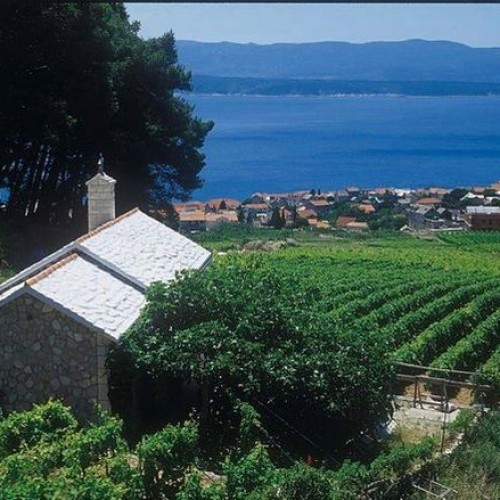 Brač