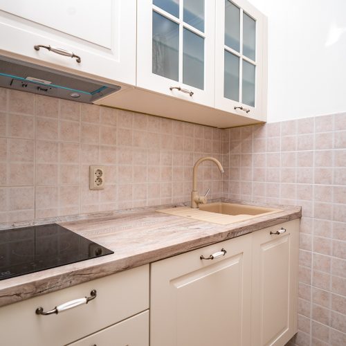 Jednosobni apartman Depadansa